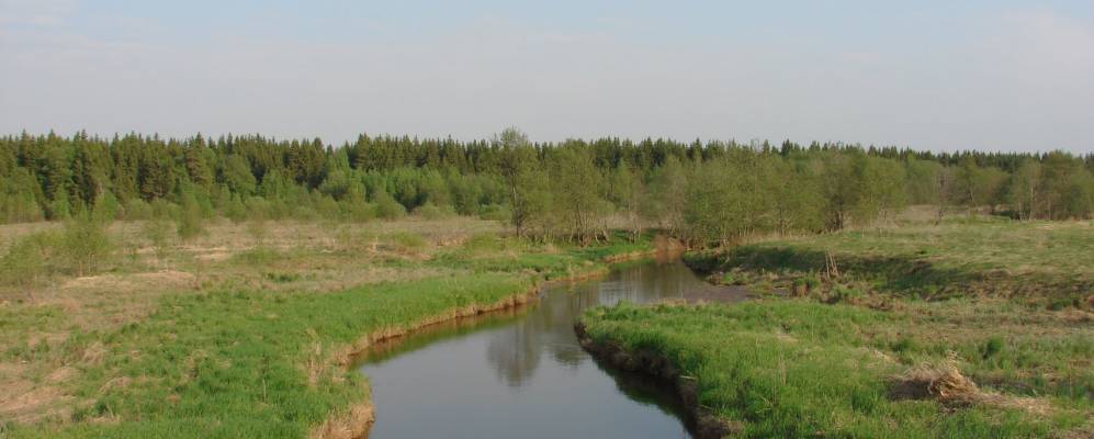 
            Фотография Крутцов