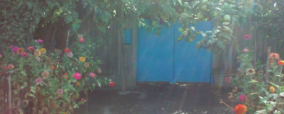 
            Фотография Ясной Поляны