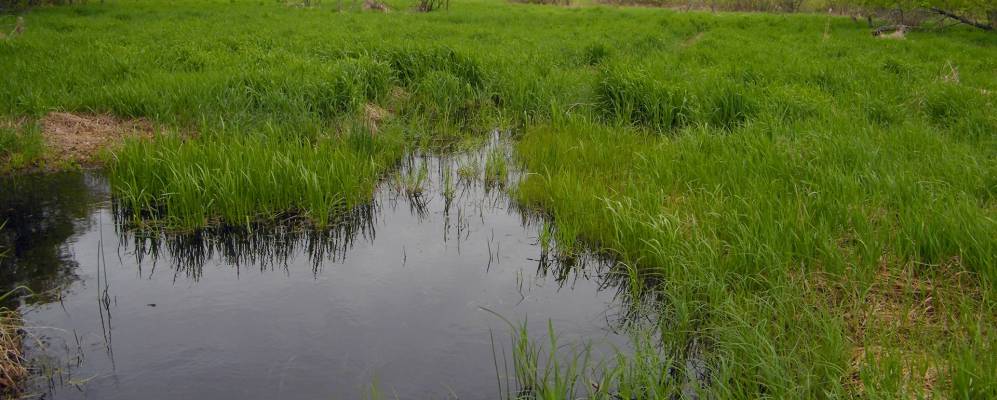 
            Фотография Ист Бетель