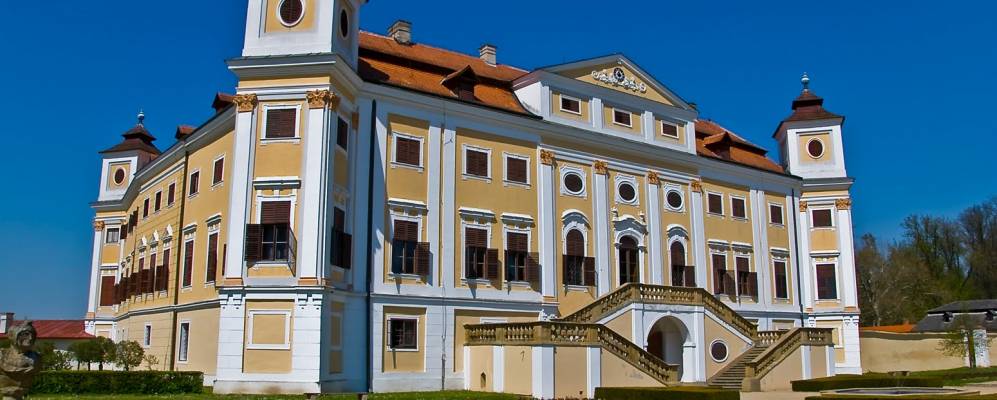 
            Фотография Милотицы