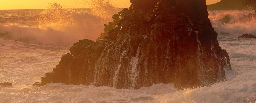 
            Фотография Скалеи