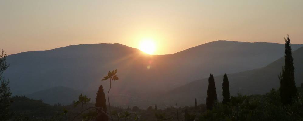 
            Фотография Псариона