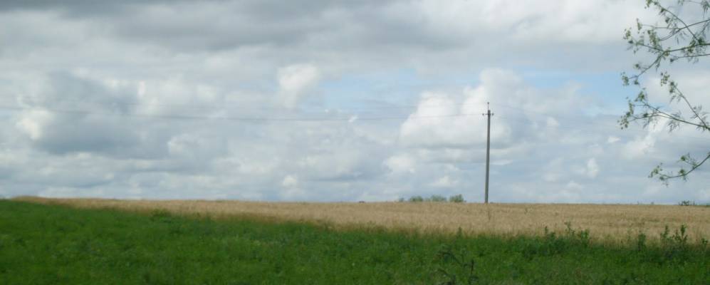 
            Фотография Стражгорода