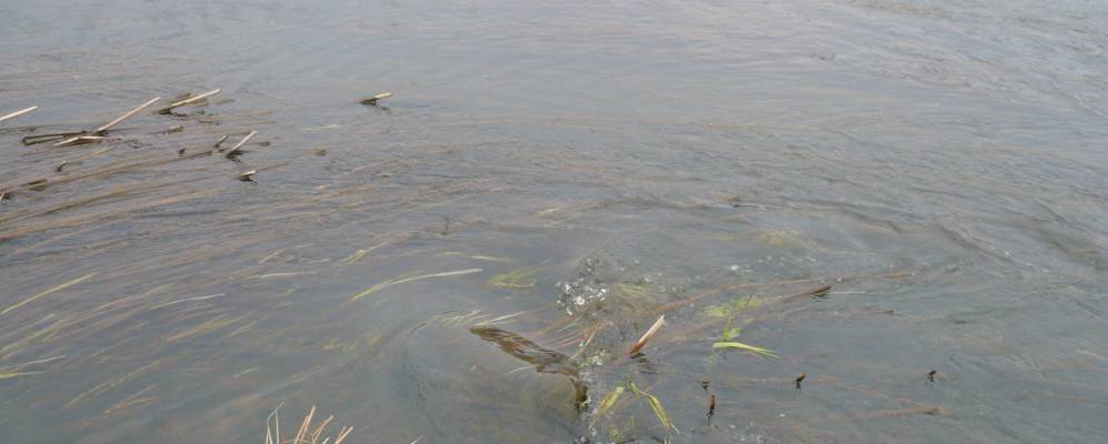 
            Фотография Зиновки