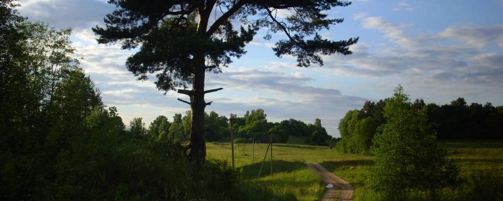 
            Фотография Рожново