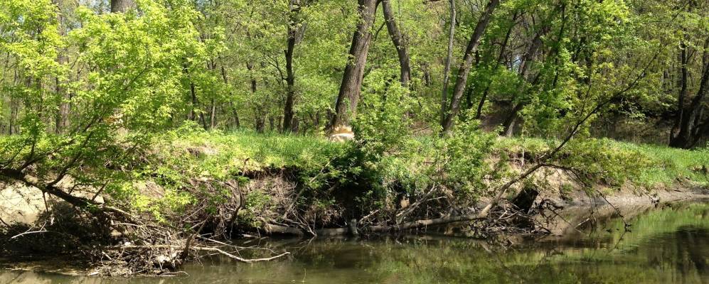 
            Фотография Торнтона