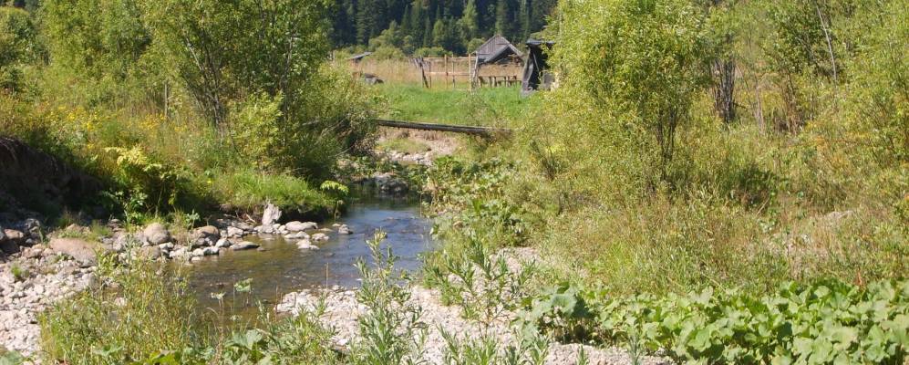 
            Фотография Турлы