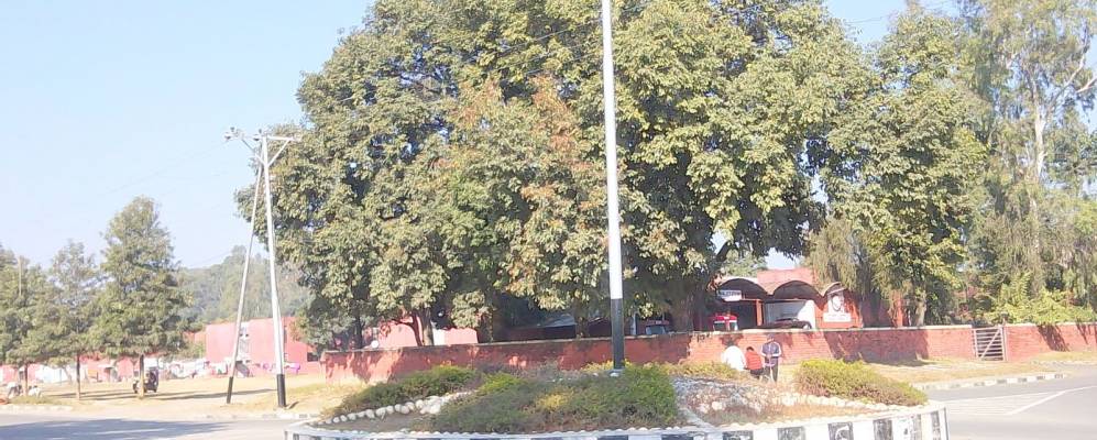 
            Фотография Талвары