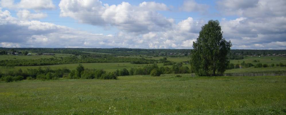 
            Фотография Гридино