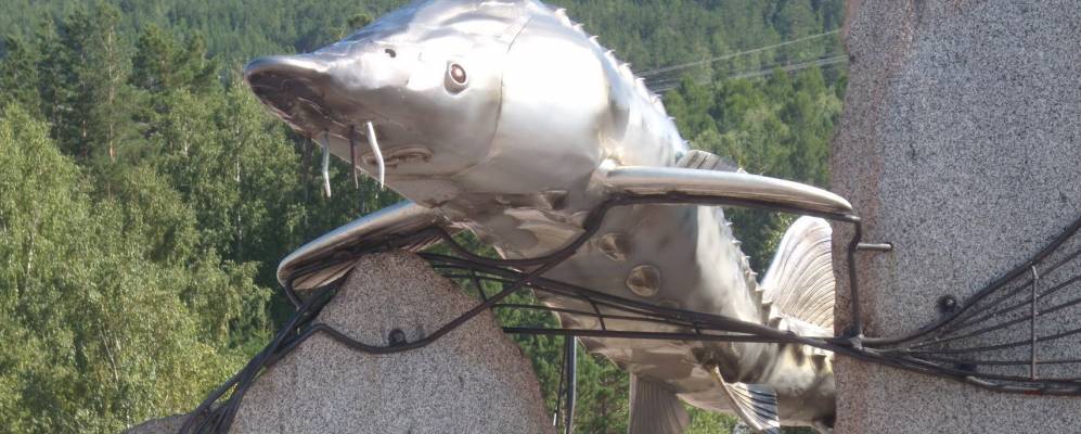 
            Фотография Слизнево