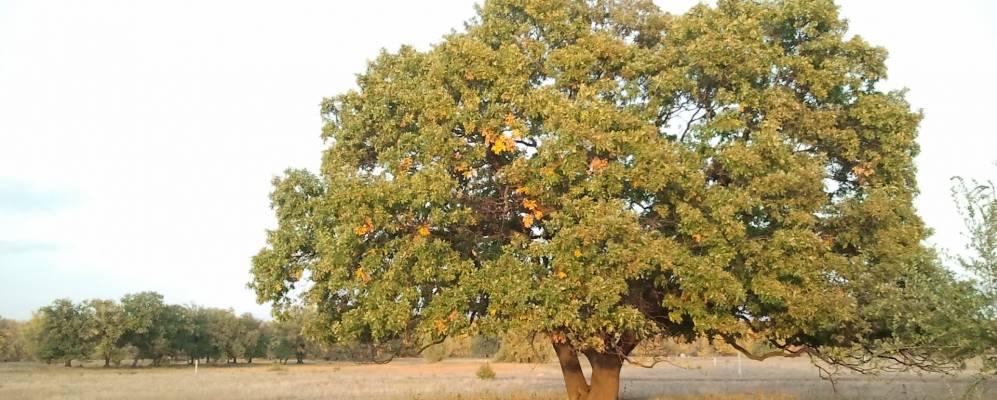 
            Фотография Красного Буксира