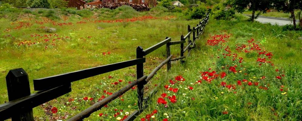 
            Фотография Ла Прадера де Навальорно