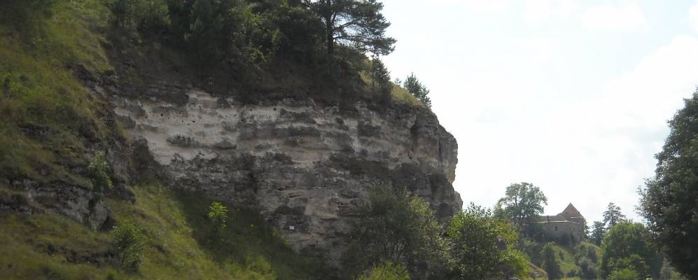 
            Фотография Подвысокого