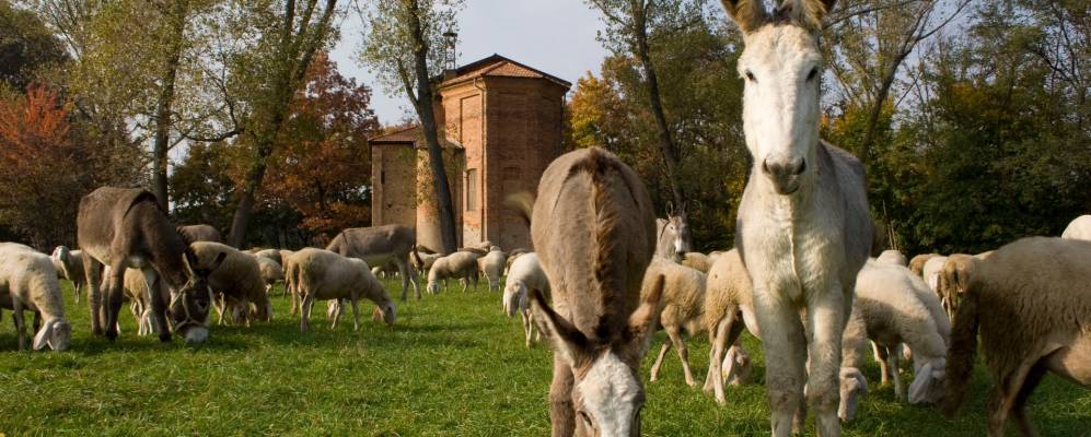 
            Фотография Горнате-Олоны