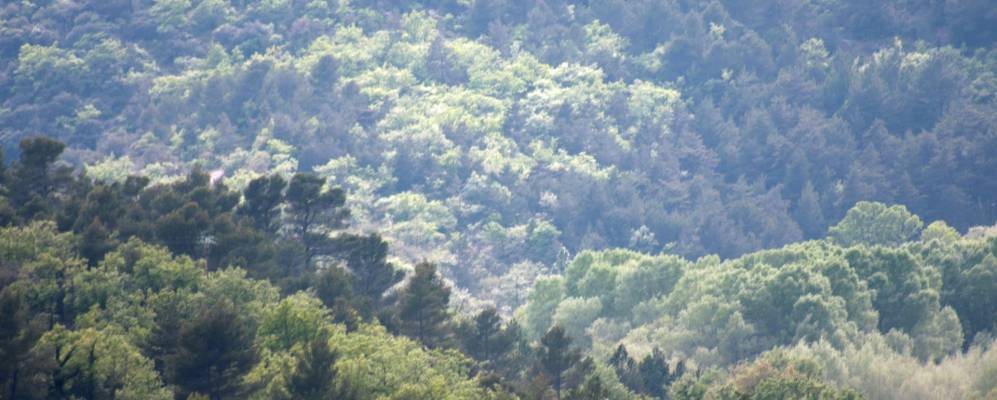 
            Фотография Мюр