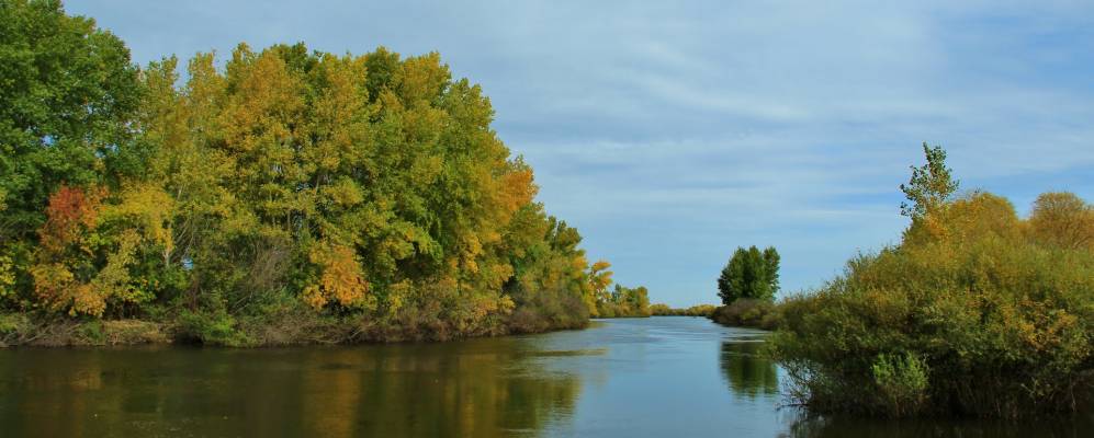 
            Фотография Харьковского