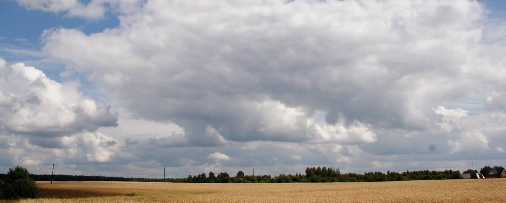 
            Фотография Мишуково