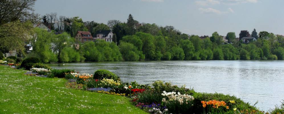 
            Фотография Кельстербаха