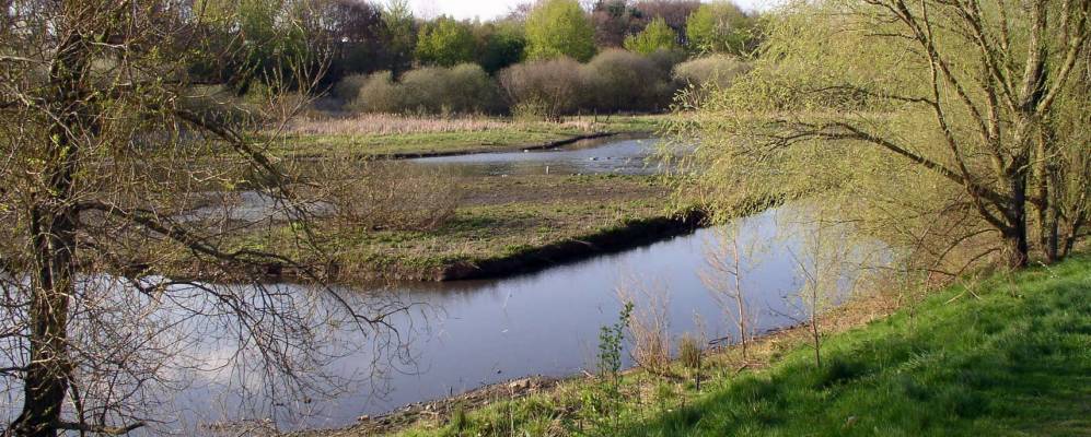 
            Фотография Кэннока