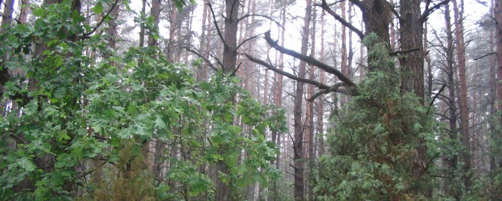 Фотография Озерца