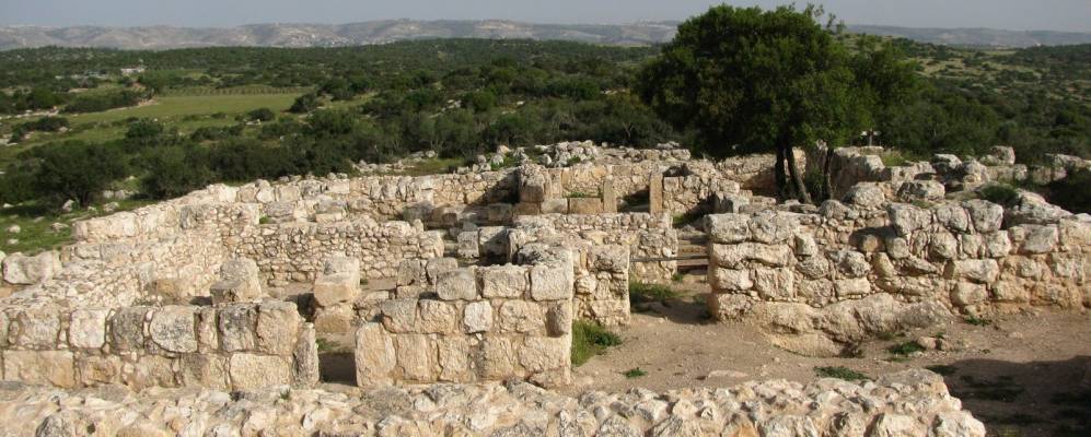 
            Фотография Амазии