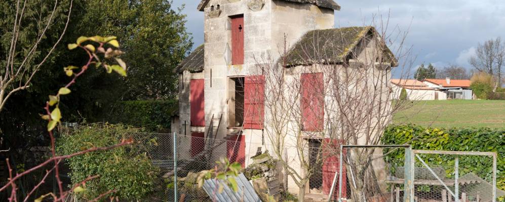 
            Фотография Нерижан