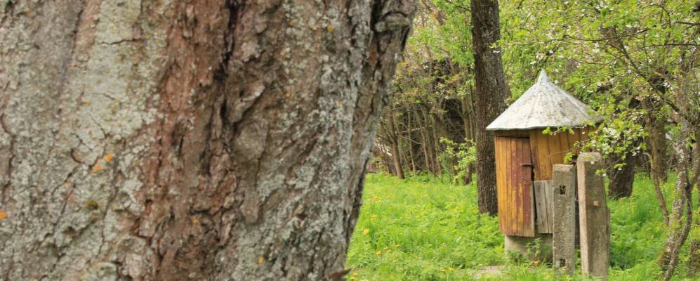 
            Фотография деревни Поникарты