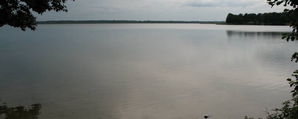 
            Фотография Лютки