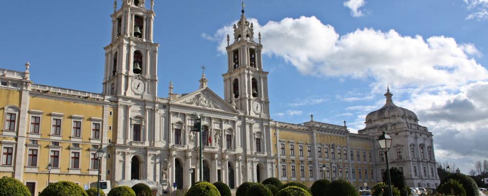 
            Фотография Мафру