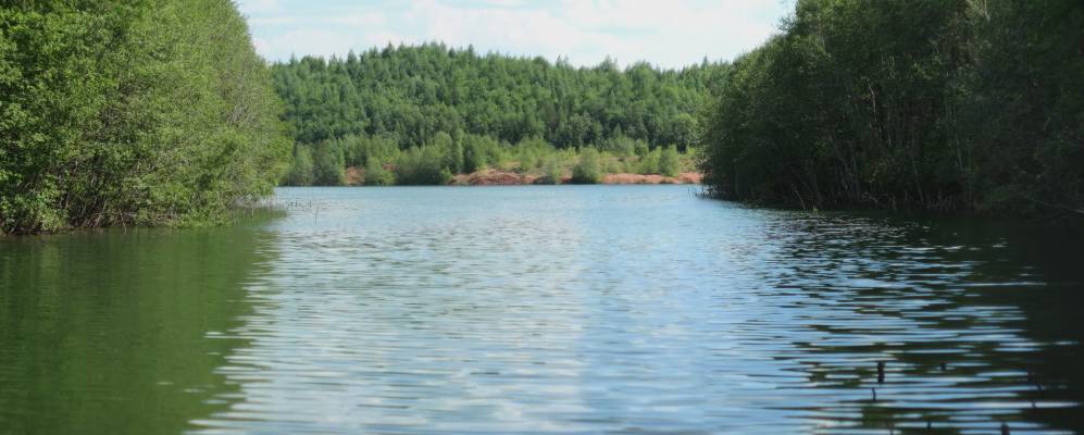 
            Фотография Нового