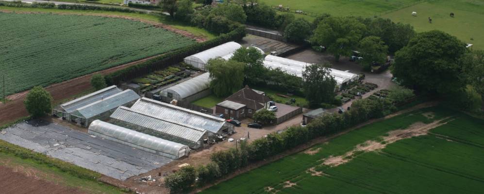 
            Фотография Вудкоута