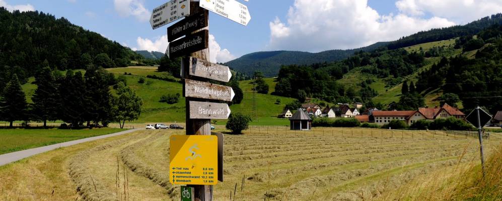 
            Фотография Шёнау-им-Шварцвальд