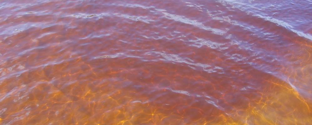 
            Фотография Вознесенского