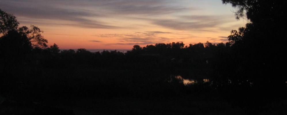 
            Фотография Делтоны