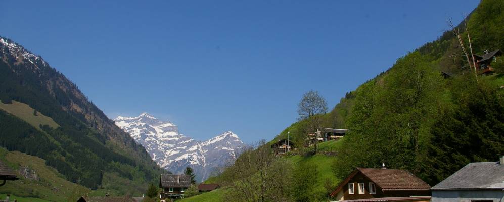 
            Фотография Матта