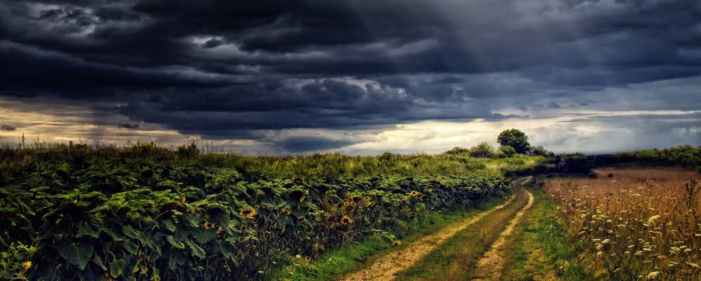 
            Фотография Авайя