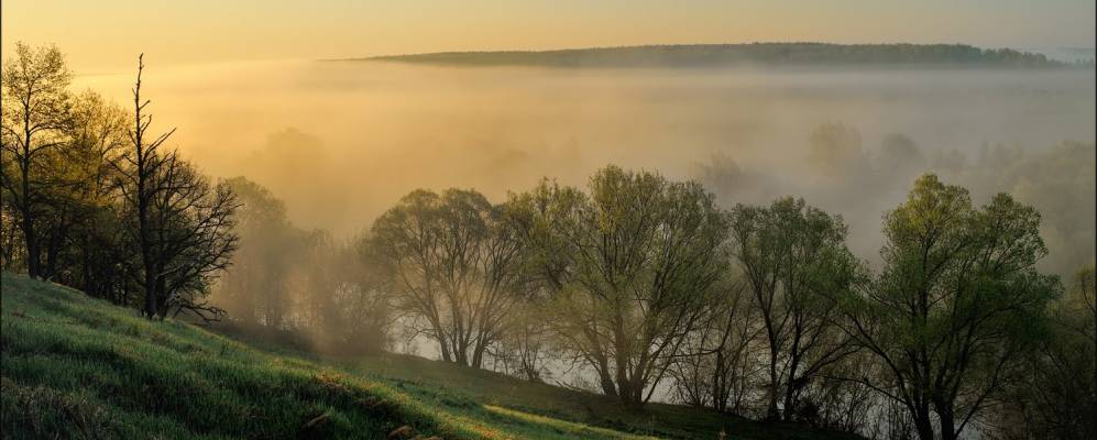 
            Фотография Михайловского