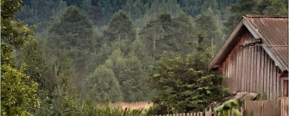 
            Фотография Большого Зиновьево