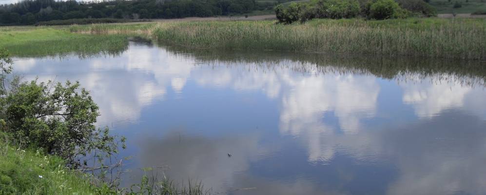 
            Фотография Карпо-Николаевки