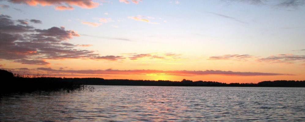 Фотография Живолоки