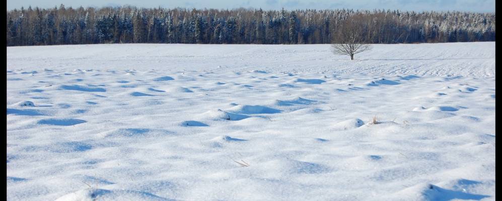 
            Фотография Скоробогатовщины