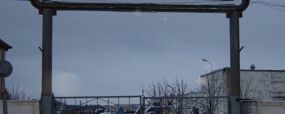 Фотография Краснобеля