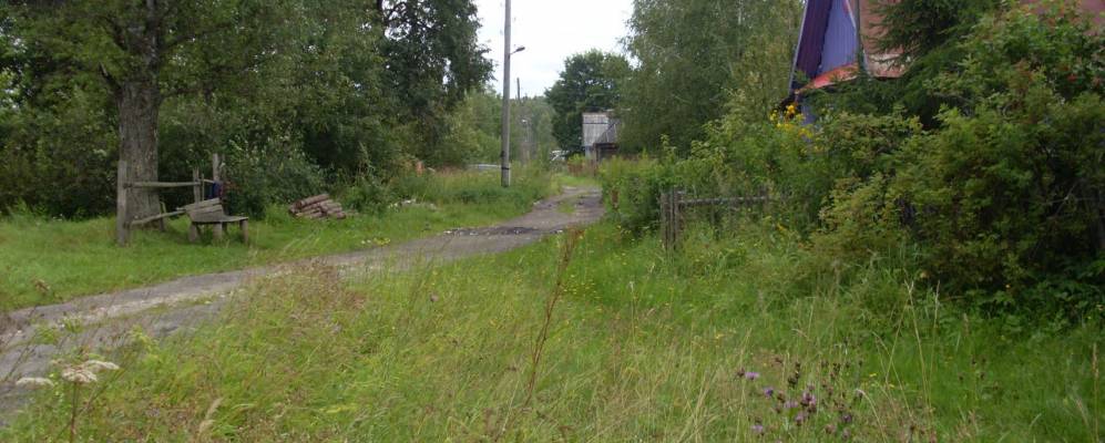 
            Фотография Лопырей