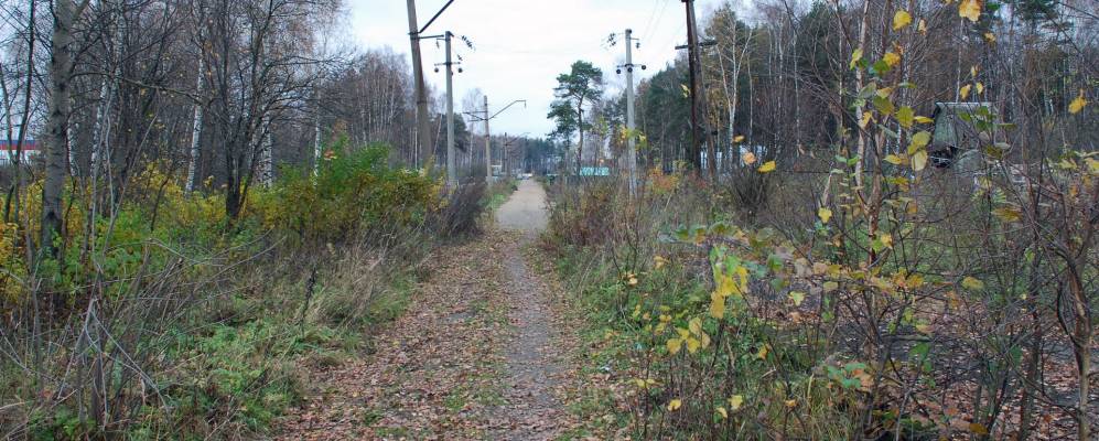 
            Фотография Новинок