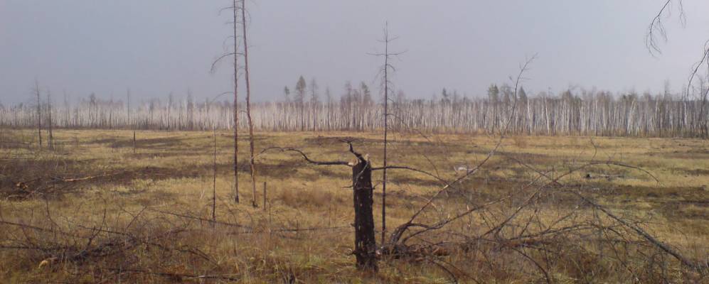 
            Фотография Илецкого