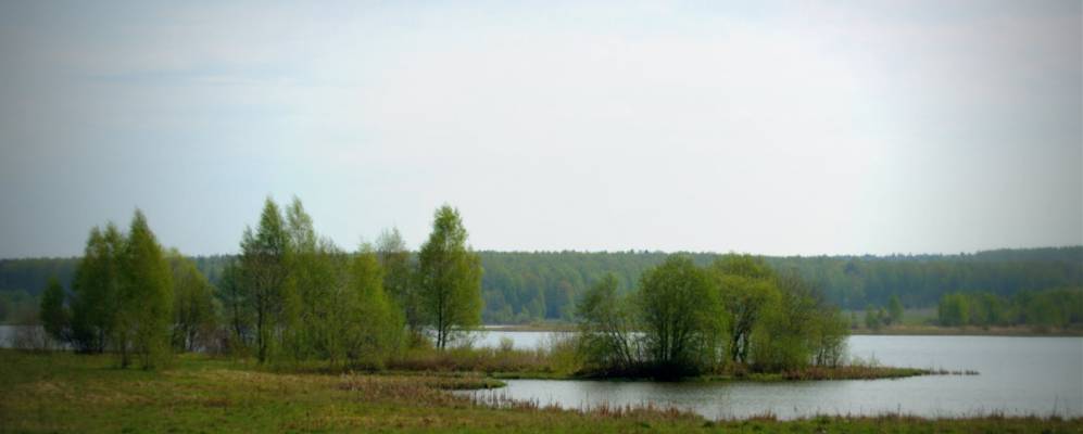 
            Фотография Власьево