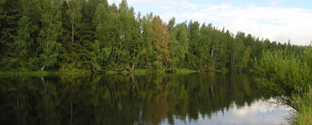 
            Фотография Еремейцево