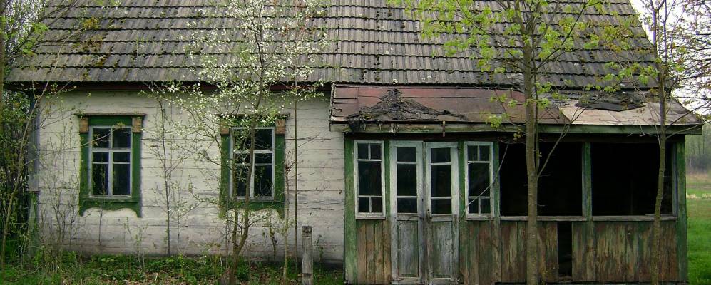 
            Фотография Полянки