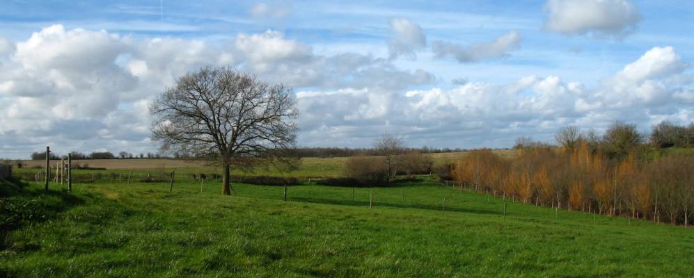 Фотография Шато-Гибер