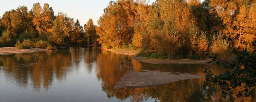 
            Фотография Сен-Жан-дё-Брэ